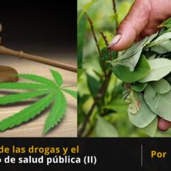 Hacia la paz Despenalizacion de la droga