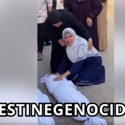 Paremos el genocidio en Gaza