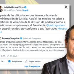 Luis Guillermo - Sanguino 2025